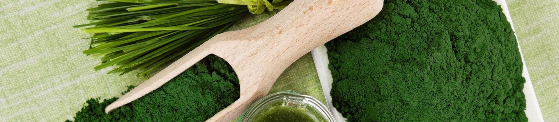 Espirulina