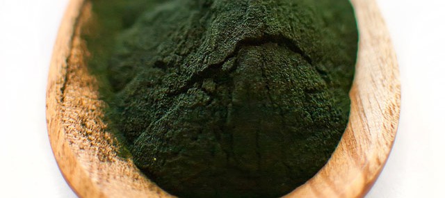 Espirulina